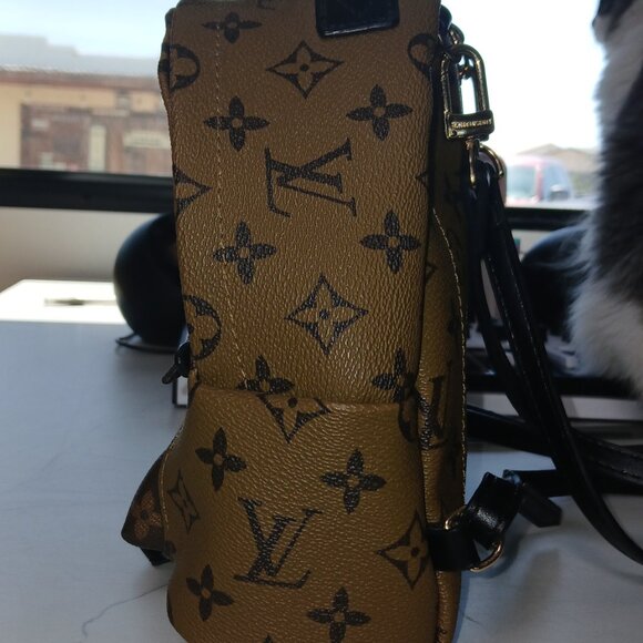 LV Louis Vuitton Palm Springs Mini Backpack with LV Buttons main image 7